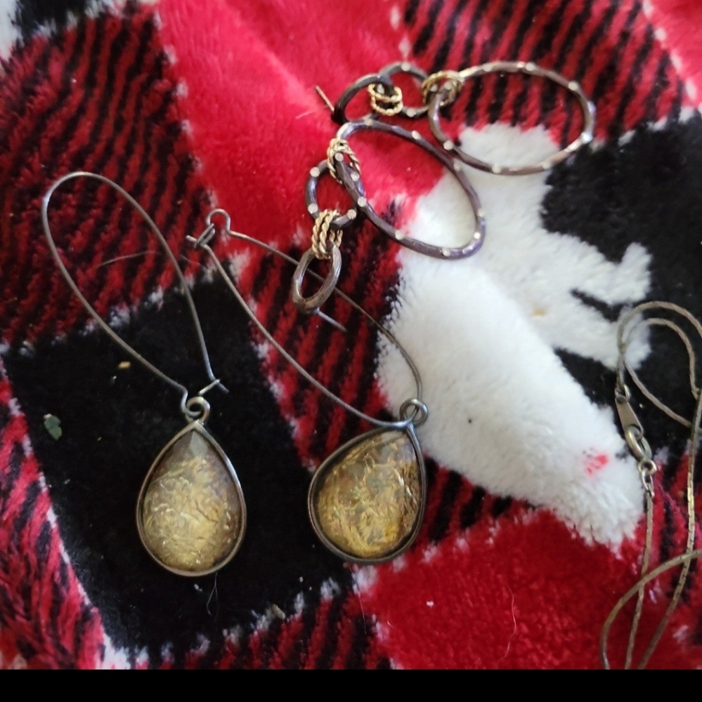 Earrings